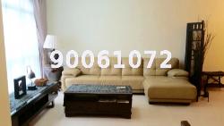 Casablanca (D25), Condominium #13915242